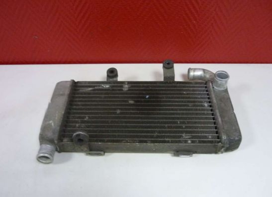 Radiator Honda VTR 1000 F