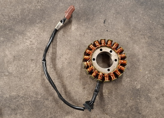 Dynamo KTM 690 SMC