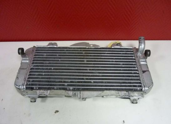 Radiator Yamaha FZR 600