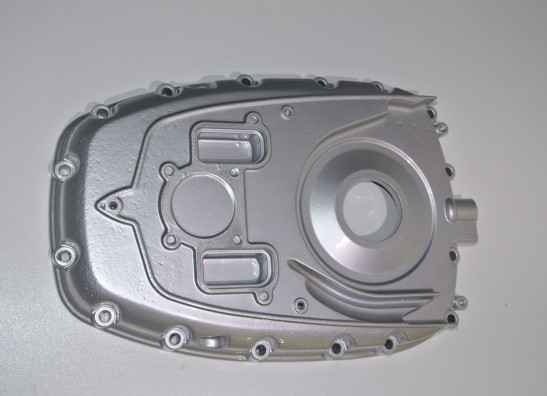 Engine cover BMW R 1200 GS
