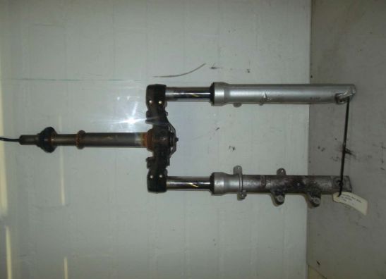 Voorpoten compleet Honda Fes 250