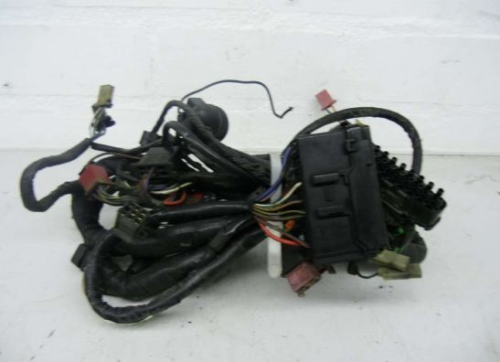 Kabelbaum Honda CBR 1000 F