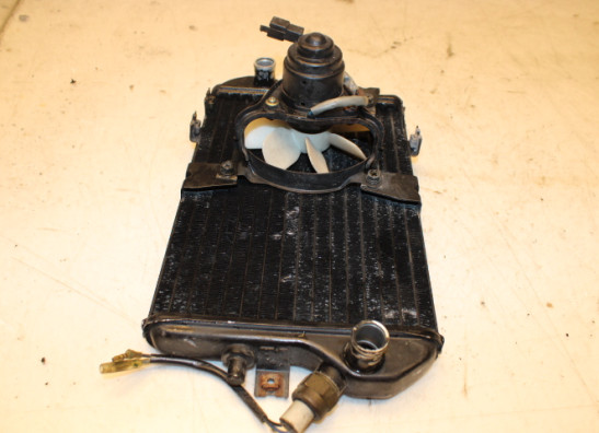 Radiateur Kawasaki LTD 450