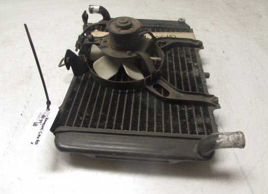 Kuhler Kawasaki GPX 600