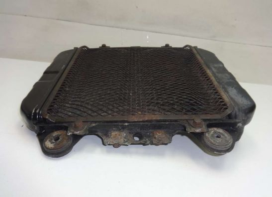 Kuhler Kawasaki ZZR 250