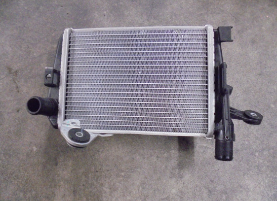 Kuhler BMW R 1200 GS LC