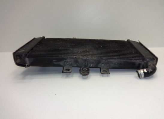 Radiator Yamaha FAZER 600