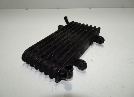 Olkuhler Aprilia Tuono 1000