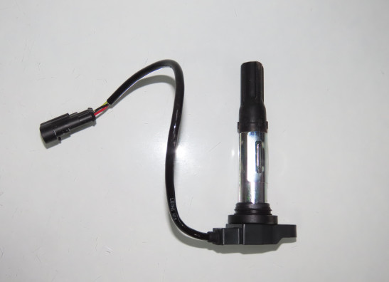 Bobine Moto Guzzi V 100 Mandello