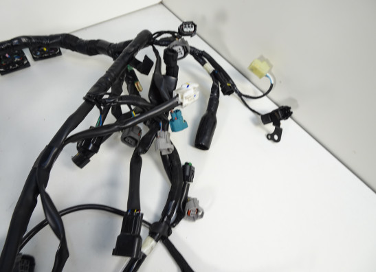 Kabelboom Kawasaki Ninja 650