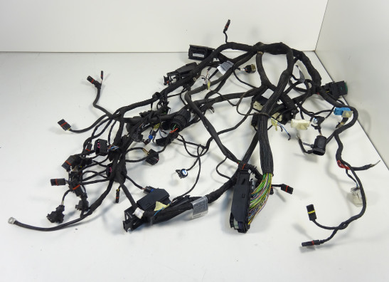 Wire Harness BMW K 1200 R 