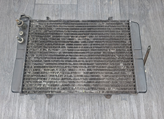 Radiator Yamaha FZR 1000