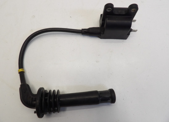 Bobine Triumph Thunderbird 900