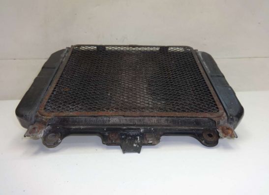 Radiator Kawasaki GPZ 500