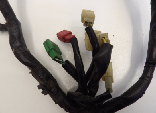 Kabelboom Honda CBR 600 F