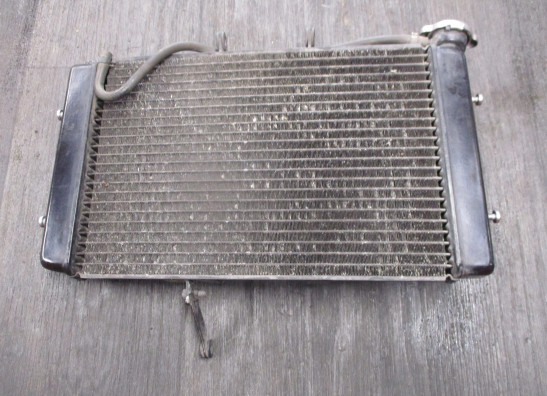 Radiateur Triumph Tiger 800