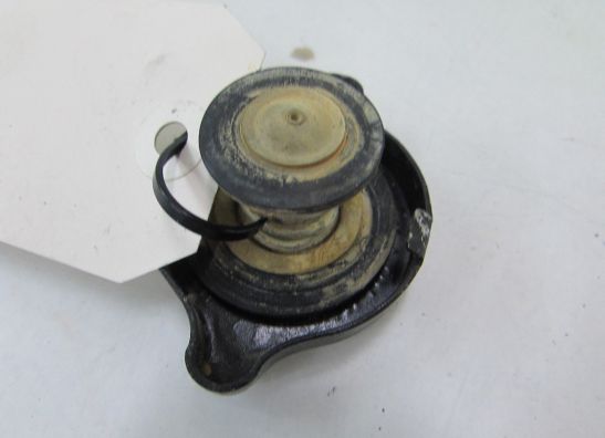 Kuhler Teile Triumph Sprint ST 1050