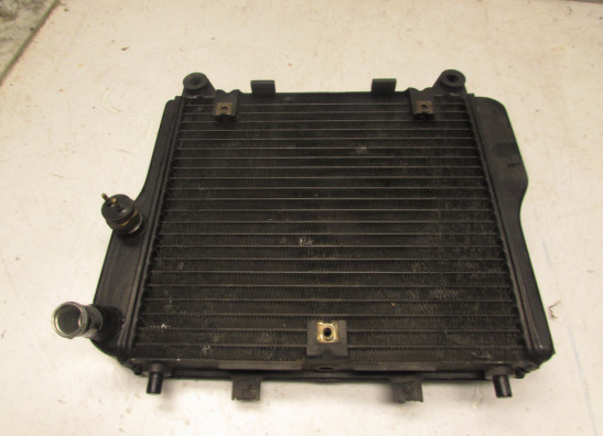 Kuhler Kawasaki GTR 1000