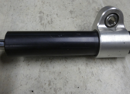 Lenkungs Dampfer BMW R 1200 R LC