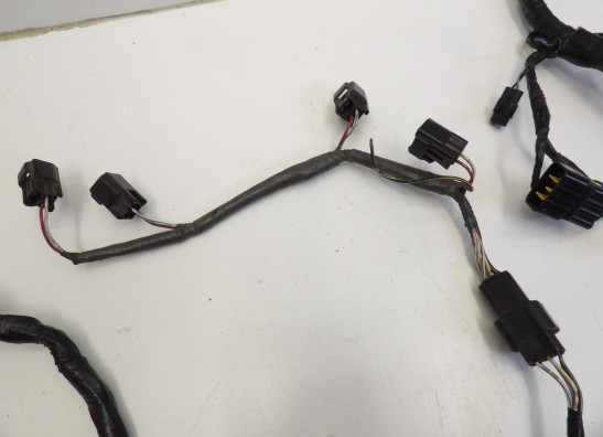 Kabelboom Kawasaki ZX 9 R