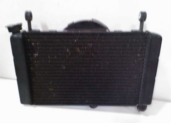 Radiator Yamaha YZF 600 Thundercat