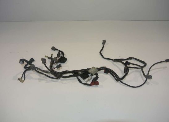 Wire Harness Honda CB 1000 R