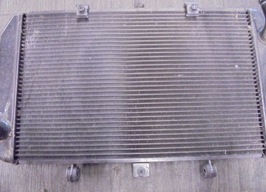 Radiateur Kawasaki Z 800