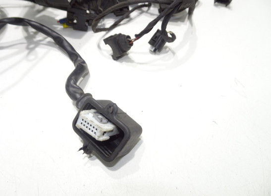 Kabelboom BMW F 650 GS