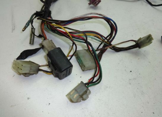 Wire Harness Kawasaki EL 250