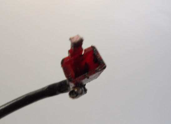 Pickup coil Suzuki GSX R 1100