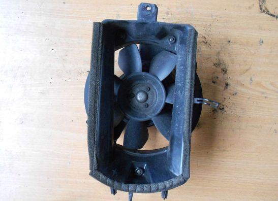 Fan Suzuki VS 800 Intruder