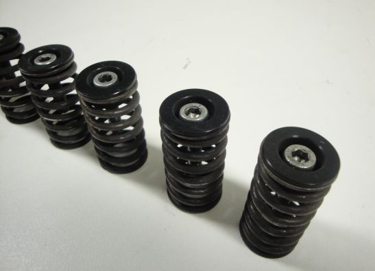 Koppeling Ducati Multistrada 1100