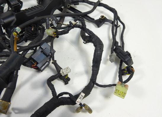 Kabelboom Ducati monster 796