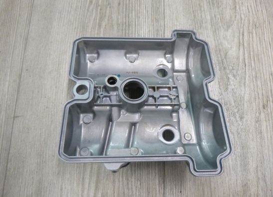 Kleppendeksel Suzuki DL 650 V STROM