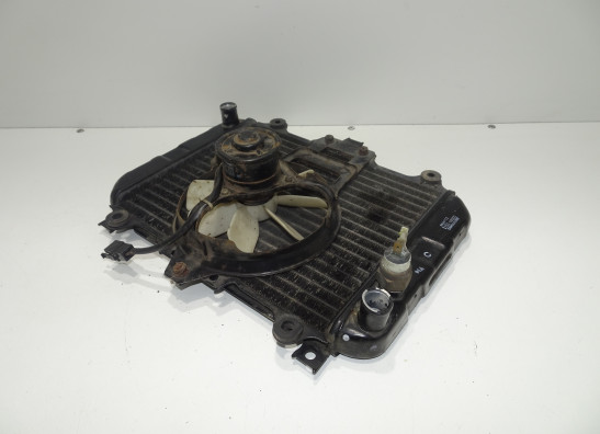 Radiator Kawasaki KLE 500