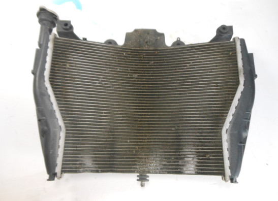 Radiator BMW S 1000 R