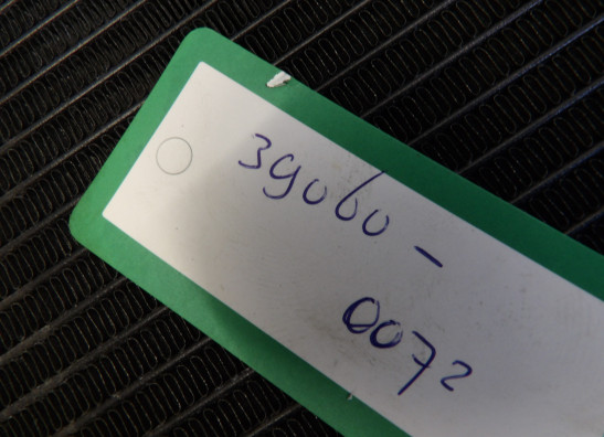 Kuhler Kawasaki Z 1000