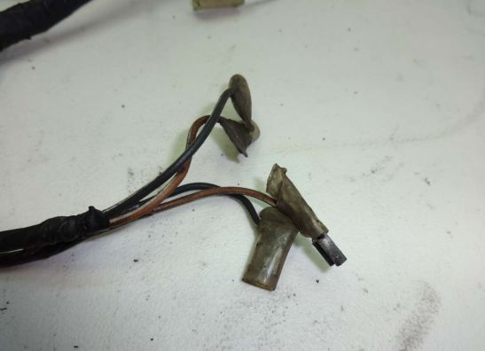 Kabelboom Kawasaki GTR 1000