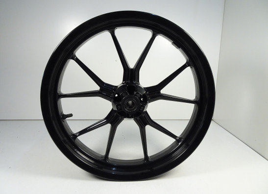 Voorvelg KTM 125 Duke