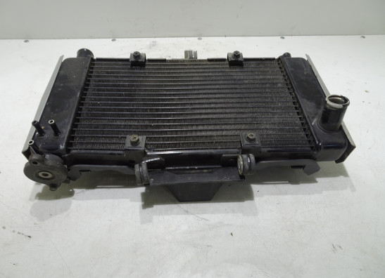 Radiateur Yamaha FZ6