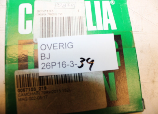 Nockenwelle kette Overig Onbekend Unknown