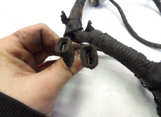 Wire Harness Honda CB 250