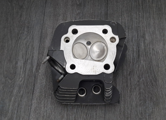 Cilinderkop Harley Davidson FLSTF Fat Boy Lo