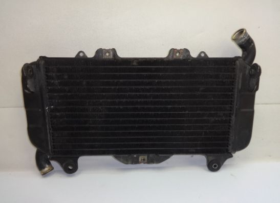 Kuhler Yamaha FZ 750