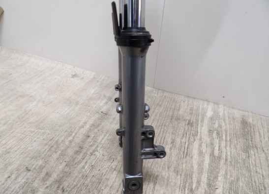 Voorpoten compleet Kawasaki ZZR 600