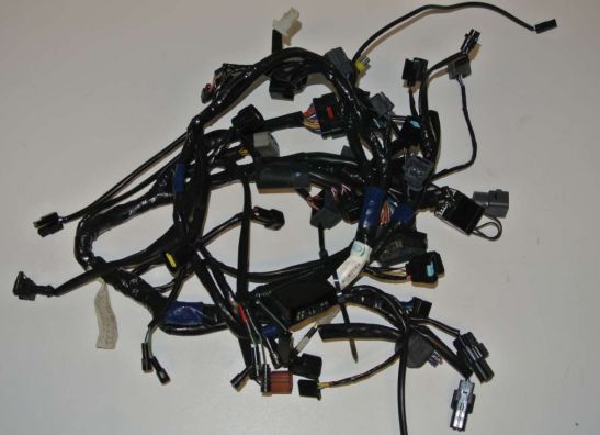 Wire Harness Triumph Tiger 1050