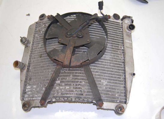 Kuhler Kawasaki ZXR 750