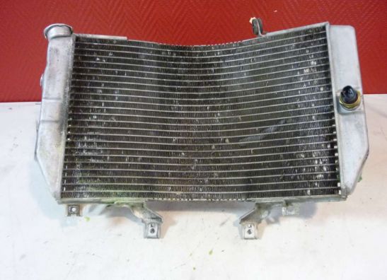 Radiator Suzuki GSX R 1000