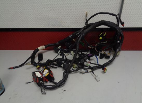 Kabelboom Aprilia Shiver 750 2008-2010