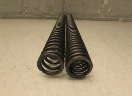 Voorpoten Triumph Tiger